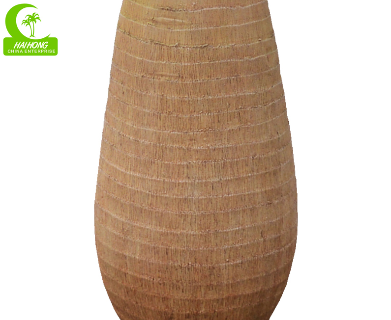bottle palm tree