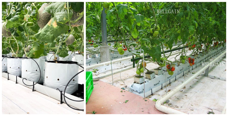 Hydroponic Nutrients Planting Trough PP Roll Growing Gutter For Tomatoes