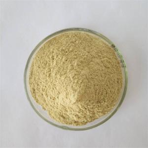 China GMP Factory Detoxification Mung Bean Sprout Extract wholesale