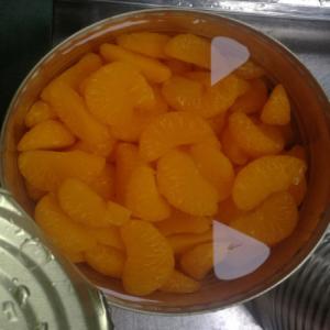 China 3000g A10 Canned Mandarin Oranges For Catering wholesale