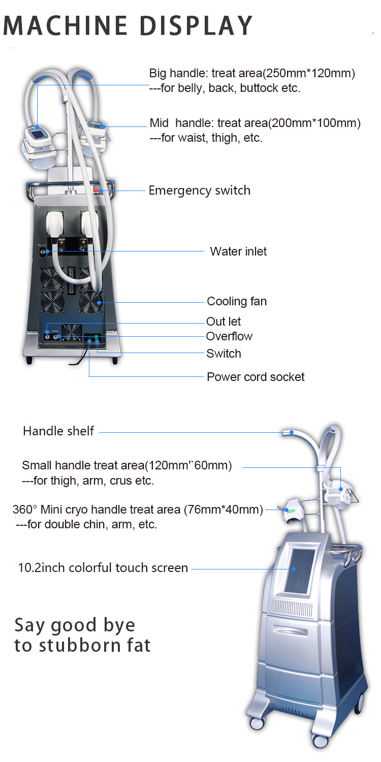 Professional cryo fat beauty machine fatest slimming weight loss cryo equipment LF-207B