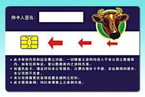China SLE 66C168PE Security Contact CPU Chip Cards wholesale