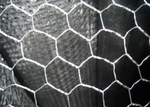 China Weave Poultry Netting 1.4mm Hexagon Metal Mesh wholesale