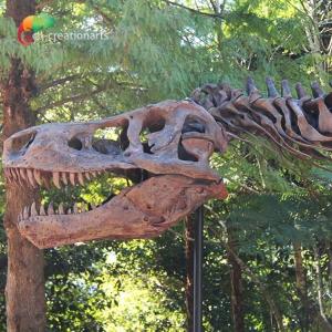 China Weather Resistance T Rex Skeleton Replica wholesale