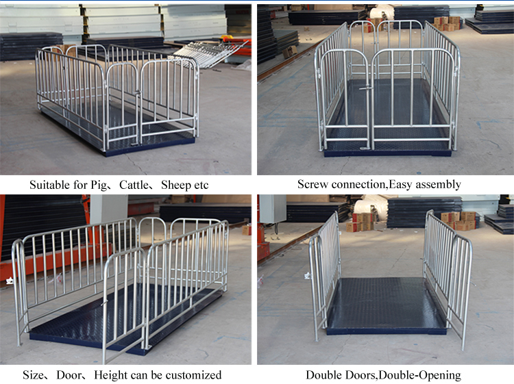 1.2*1.5m 500kg 1000kg 1500kg Balance Livestock Scale Cattle Weighing Scale High Quality Good Price Low Cost Animal Weight Scale