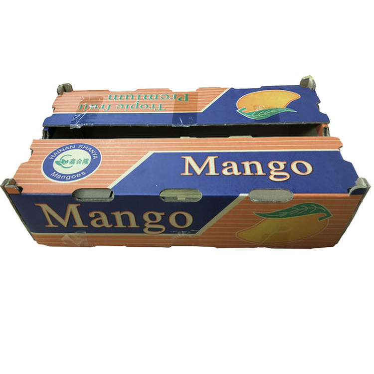 Dustproof Fruit Corrugated Paper Box With Handle Recycled Durable