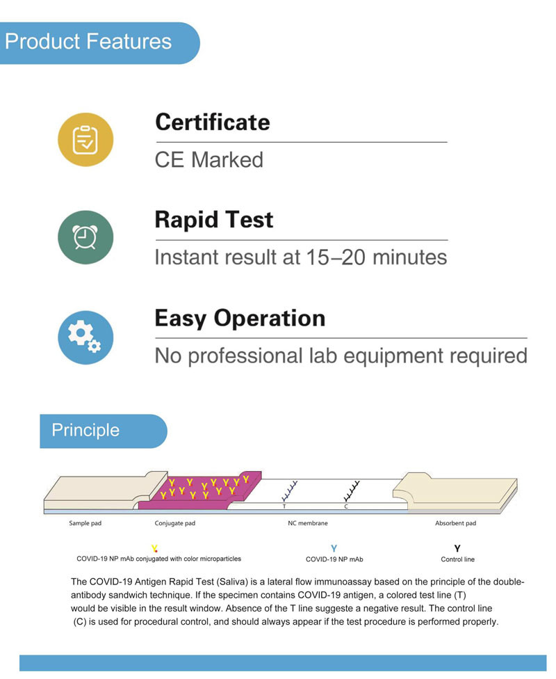 OEM Saliva Nasal Swab Kevalidan Rapid Test Kit