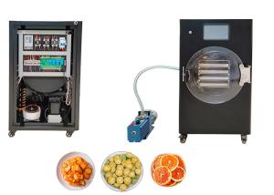 China Mini Stayfresh Freeze Dryer Electric Heating PLC Controlled wholesale