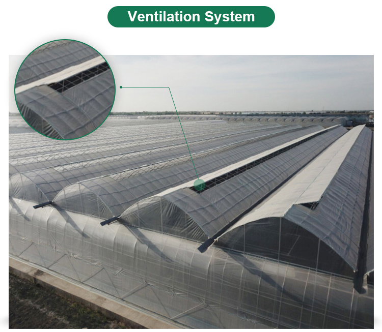 Automatic Controlling System Single Layer Greenhouse for Commercial Korean Model Film