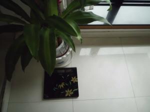 China Travel Weighing Scales with CE, RoHs wholesale