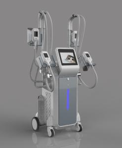 China cryolipolysis fat freeze slimming machine cryolipolysis freeze sculptor wholesale