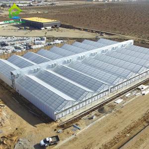 China Automated Hemp Light Deprivation Greenhouse Interior Blackout Muti-span Greenhouses wholesale