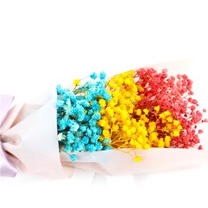 China Christmas Gift Preserved Rose Flower Fashional Babysbreath Wishing Bottle wholesale
