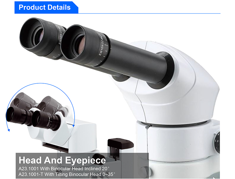A23.1001-F Flourescent Stereoscopic Zoom Microscope Wf15x