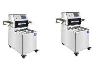 China Modified Atmosphere Vacuum Packing Euipment Floor Standing L399×W295×H85 Mm wholesale