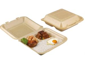 China Biodegradable disposable 3 compartment clamshell form container food packaging wholesale