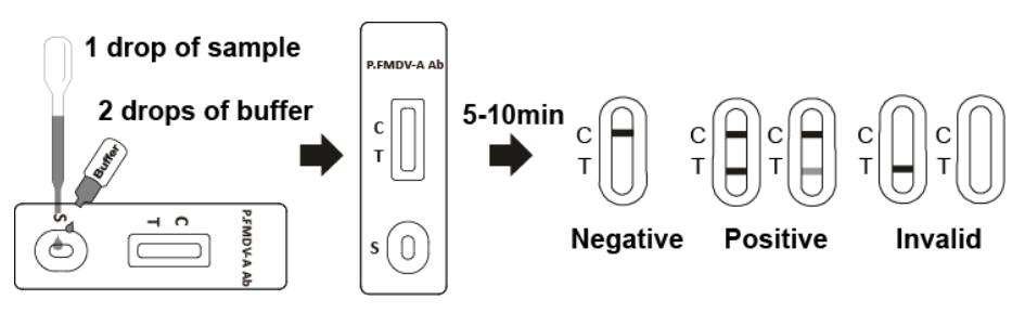 FMD Porcine Test Kit Foot And Mouth Disease Virus A Antibody Test