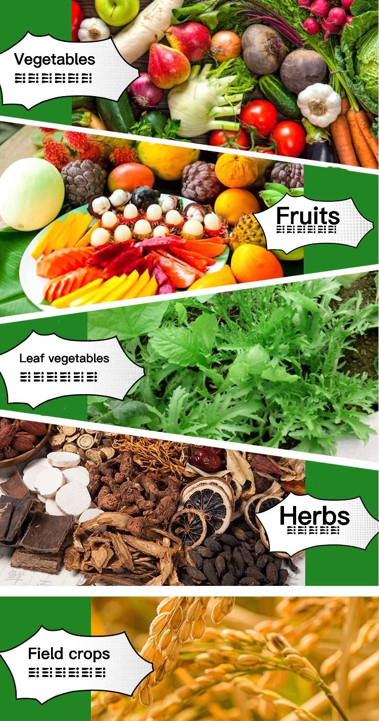 Custom Logo Soil Conditioner 15 15 15 NPK Compound Fertilizer