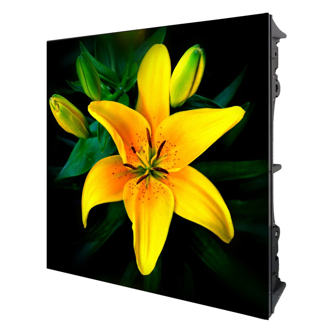 Outdoor P4.81 Modules Led Tv Advertising Displays 250*250mm Panel Size