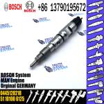Diesel common rail injector 0445120218 0445 120 218 0 445 120 218 for European