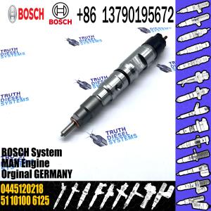 China Diesel common rail injector 0445120218 0445 120 218 0 445 120 218 for European Trucks wholesale