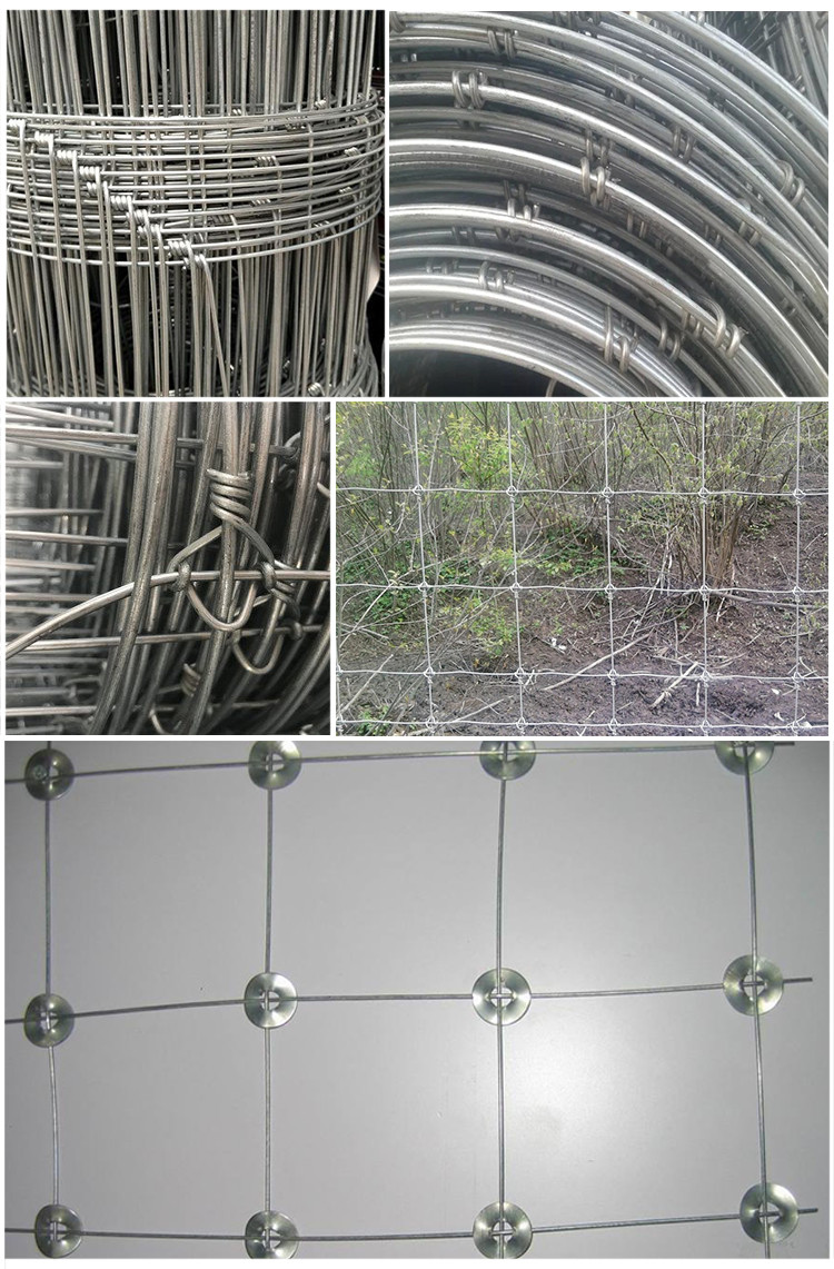 Galvanized Cattle Field Metal Fence Hinge Joint Woven Animal Farm Iron Wire Fencing