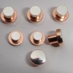 ISO9001 Approved High Quality Fine Silver Electrical Contacts / Copper Rivet