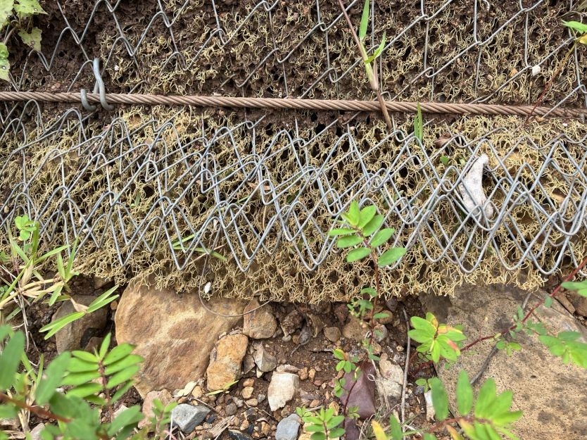 Rockfall Protection Netting The Ideal Choice for Slope Protection Needs