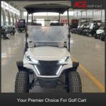 PP Hard Plastic Body Material Motorized Golf Cart With Lead Acid Battery