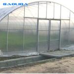 Single Span High Tunnel Plastic Greenhouse With Roof Ventilation System