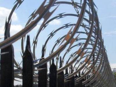 Concertina Razor Coils On Fence