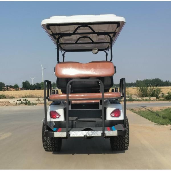 6 Seater Golf Cart Printing Customized Adult Rechargeable Tourist Sightseeing Car