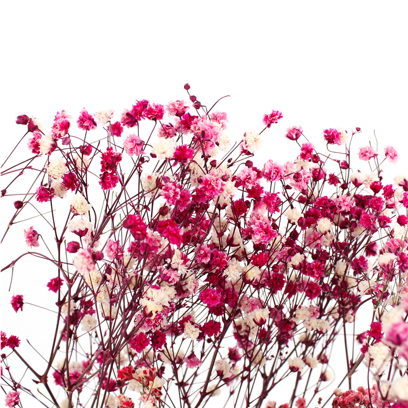 Preserved Gypsophila Baby'S Breath , Dried Gypsophila Wedding Table Flowers