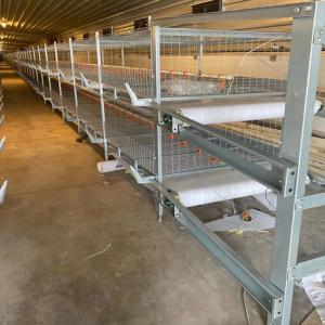 China Automatic Broiler Cage With Poultry Drinking System wholesale