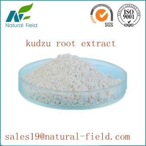 China pure natural puerarin wholesale
