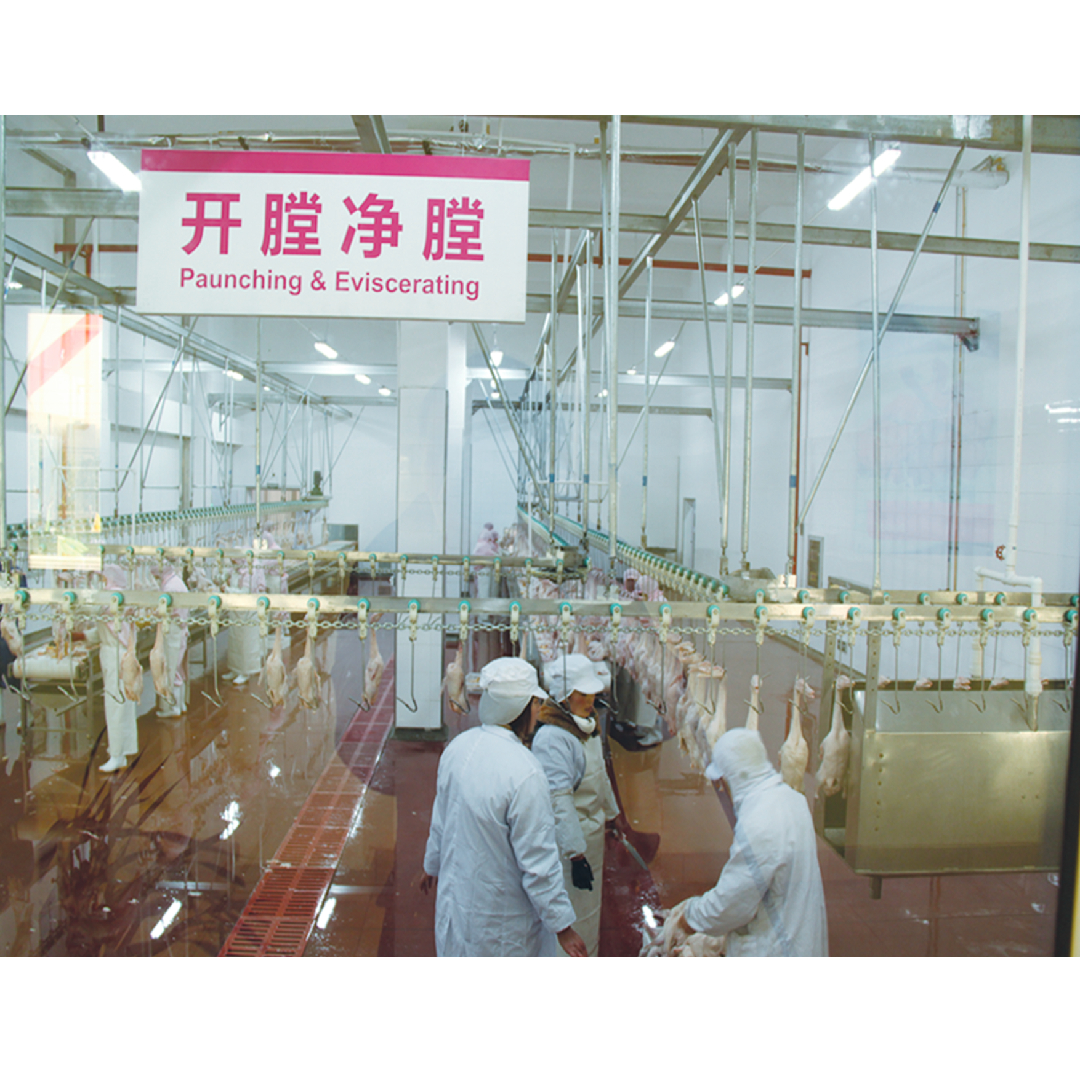 Automatic Poultry Farm Machinery Duck Turkey Chicken Slaughter Bleeding Equipment