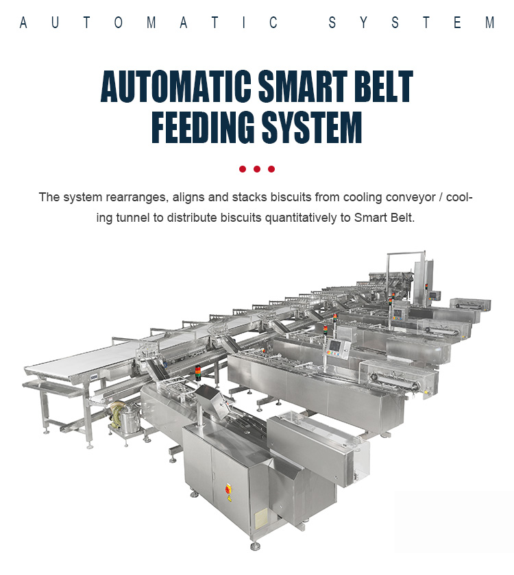 Automatic Smart Belt Feeding System Food Electric Belt Conveyor For Biscuit Product Line