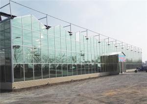 China Modern Design Agricultural Glass Greenhouse 3m - 6m Side Height Long Service Life wholesale