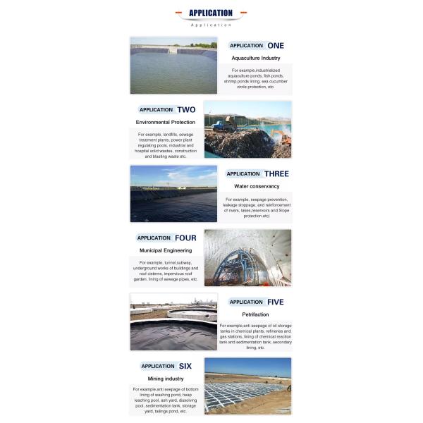 Wastewater Treatment Plant ASTM HDPE Geomembrane 100Mil Waterproof Membrana Pond Liner