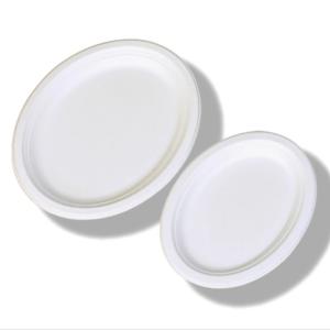 China Oval Shaped Pulp Plate Disposable Sugarcane Bagasse Plates Freezer Safe wholesale