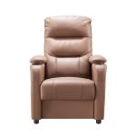 Wood Frame Classic Style Luxury Leisure Chair for Living Room Cinema or Theater