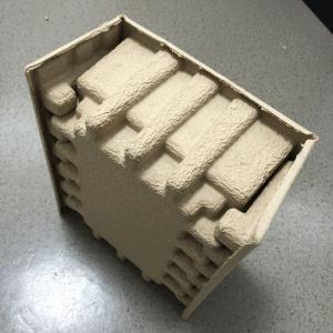 China Hanwell Moulded Pulp Tray Packaging For Food Industrial wholesale