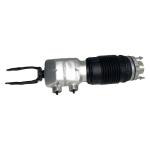 971616038G Air Suspension Parts Air Suspension Strut