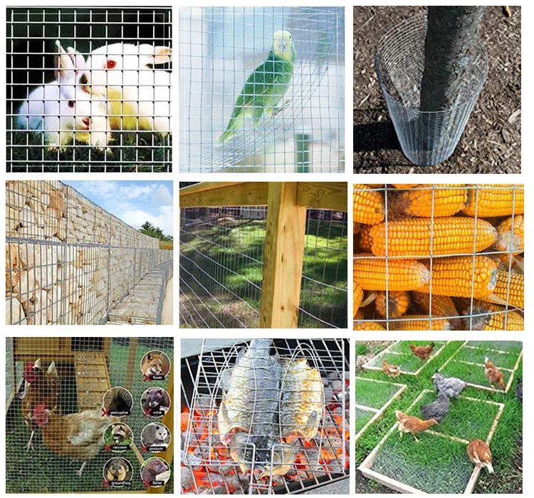 Heavy Duty Welded Wire Mesh Panels Rabbit Cage 2x2 4x4 5x5cm Electro Hot Galvanized