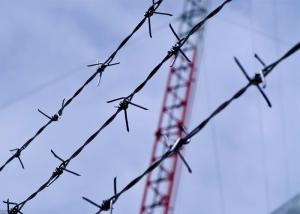 China Construction Protection PVC Coated/Electro Barbed Wire Coils wholesale