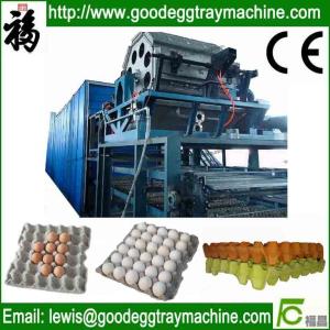 China Egg Tray/Fruit Tray/Cup Holder Machine wholesale
