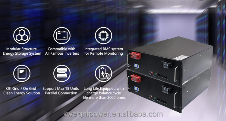 Pv Ups Energy Lithium Battery Module 51.2V Lifepo4 Lithium Battery Pack