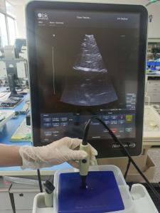 China Bk Medical Ultrasound Probes Medical Ultrasound Transducer Companies wholesale