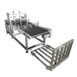 Corrugated Big Carton Feeder Machine Stainless Steel