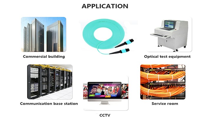 MPO MTP SC LC FC ST Pc Upc Apc OM3 OM4 Fiber Optic Pigtail